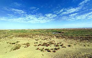 KUNMING- DUNHUANG VOYAGE D ETUDES ORGANISE (29)